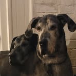 Profile Picture of Randi Degges Coppinger (@randi.coppinger) on Facebook