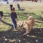 Profile Picture of Bert The Golden 🐶💛 (@bert_the_golden) on Instagram