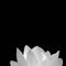 Profile Picture of Vy Nguyen (@Vy-Nguyen) on Facebook