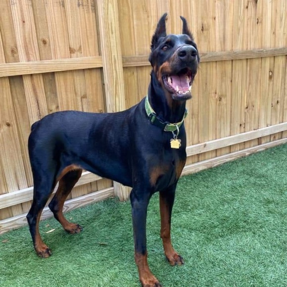 Stephanie Camera - Poshmark Profile Picture of Stephanie Camera (@cameras251) on Poshmark