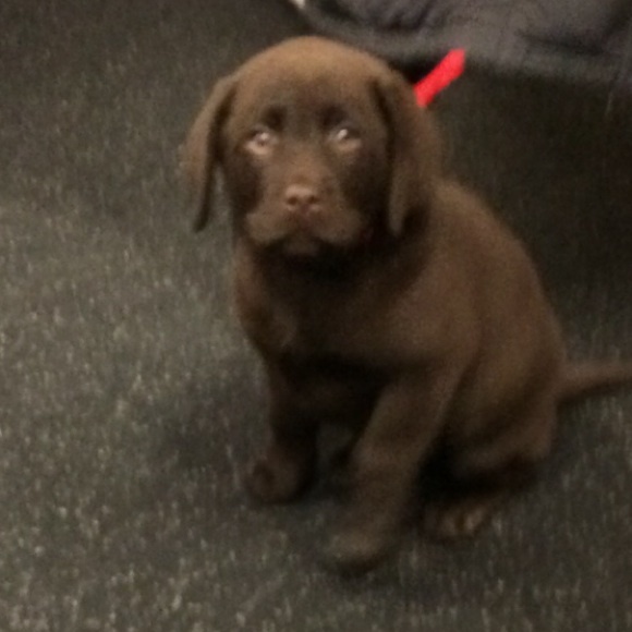 Profile Picture of Taylor Coolahan (@tcool212) on Poshmark