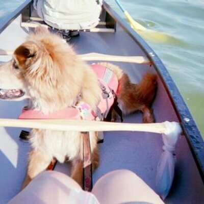 Profile Picture of Jonathan Wessel (@JTizzle1987) on Twitter