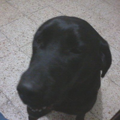 Profile Picture of Sinhue Vega (@Baladehielo) on Twitter