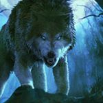 Profile Picture of benjamin jimenez (@benjaminjimenez664) on Instagram