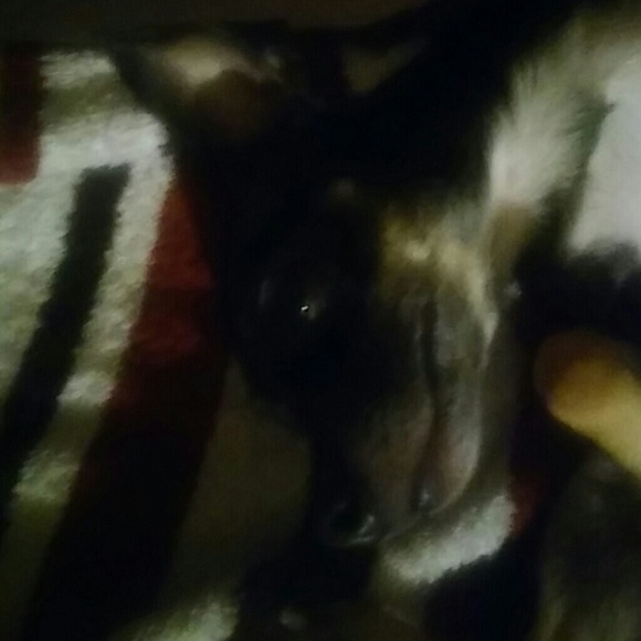 Profile Picture of Zelda Moore (@neulene) on Poshmark