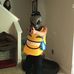 Profile Picture of Nick Carlstedt (@nick.carlstedt.31) on Facebook