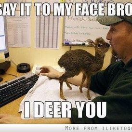 Profile Picture of Caleb Bauman (@xriskyshotzx) on Twitter