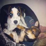 Profile Picture of Eleanor_Kessler_ (@eleanor_kessler_t) on Instagram