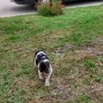 Profile Picture of Stephen Sarnowski (@stephen.sarnowski) on Instagram