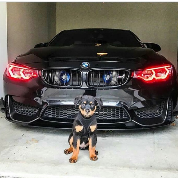 Profile Picture of Ethan Lucas (@pastorlucas) on Poshmark