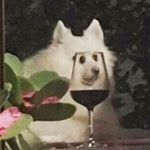 Profile Picture of Jungwon Choi (@gardenning) on Instagram