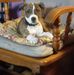 Profile Picture of Lori David (@lori.david.3158) on Facebook
