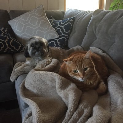 Profile Picture of Todd Mcmullen (@ToddMcmullen5) on Twitter