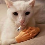 Profile Picture of miranda.moodyman (@miranda.moodyman) on Instagram
