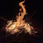 Profile Picture of Caleb Doull (@Caleb-Doull) on Facebook