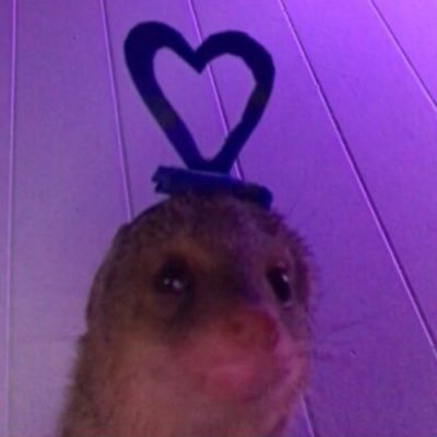 Profile Picture of Blah (@ken_knee08) on Twitter