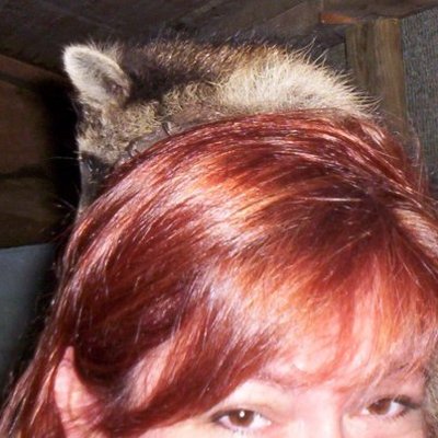 Profile Picture of Lorna Steele (@LornaSteele16) on Twitter