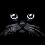 Profile Picture of Jim Laurente (@jimlowrente) on Instagram