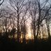 Profile Picture of Sarah (@loder_sarah) on Pinterest