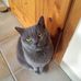 Profile Picture of Peter Roloff (@peter.roloff.754) on Facebook