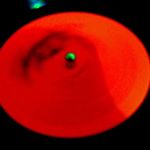 Profile Picture of Diane Priddle (@dipridd) on Instagram