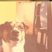 Profile Picture of Lukas Breit (@lukas.breit.56) on Facebook
