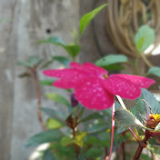 Profile Picture of Miriam Coello (@_miriam_coello) on Youtube