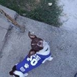 Profile Picture of George Bermudez (@george.bermudez.733) on Instagram