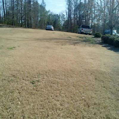 Profile Picture of Sincere Love (@michellelaber23) on Twitter