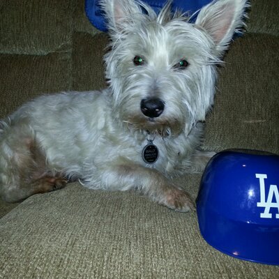 Profile Picture of Adrienne Ferguson (@AdriFerg4) on Twitter