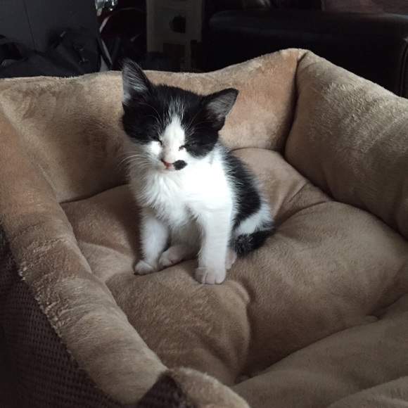 Profile Picture of Danielle Steed (@daniellesteed6) on Poshmark