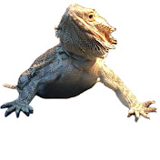 Profile Picture of Darren Schwartz (@darrenschwartz) on Youtube