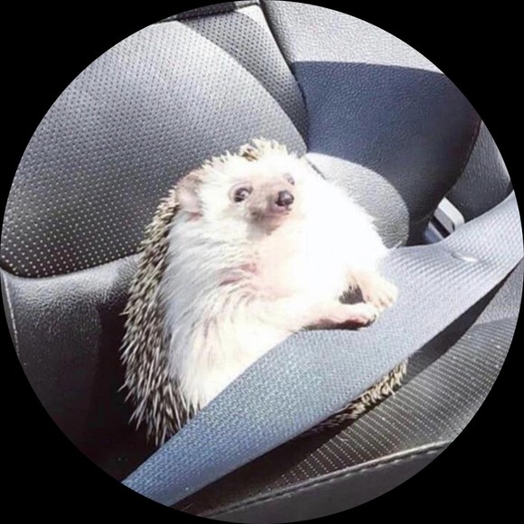 Profile Picture of Brady Albright (@rhetoricalrhino) on Poshmark