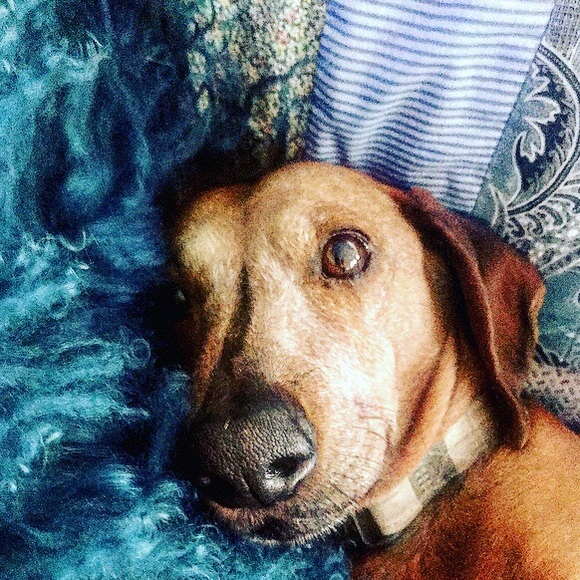 Profile Picture of Jack Lukis (@yoshi_san) on Poshmark