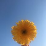 Profile Picture of Heidi Manning (@heididodobutt) on Instagram