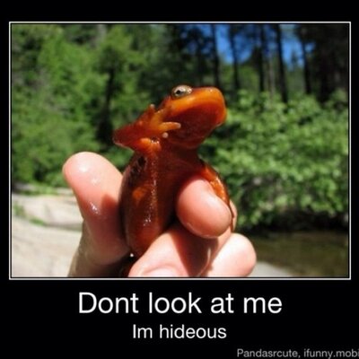 Profile Picture of Anthony Kirby (@KirbyAnthony) on Twitter