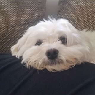 Profile Picture of Ralf Maas (@Ralf-Maas) on Facebook