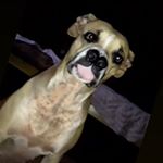 Profile Picture of Hanna (@hanna_mayara02) on Instagram