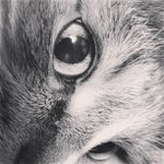 Profile Picture of Ben Callender (@joetequin) on Instagram