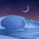 Profile Picture of Libby Bush (@libbobobo) on Instagram