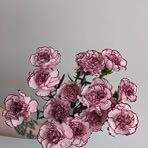 Profile Picture of David Garrett (@David-Garrett) on Facebook