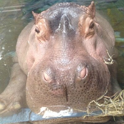 Profile Picture of Kevin Eckert (@Eckdog67) on Twitter