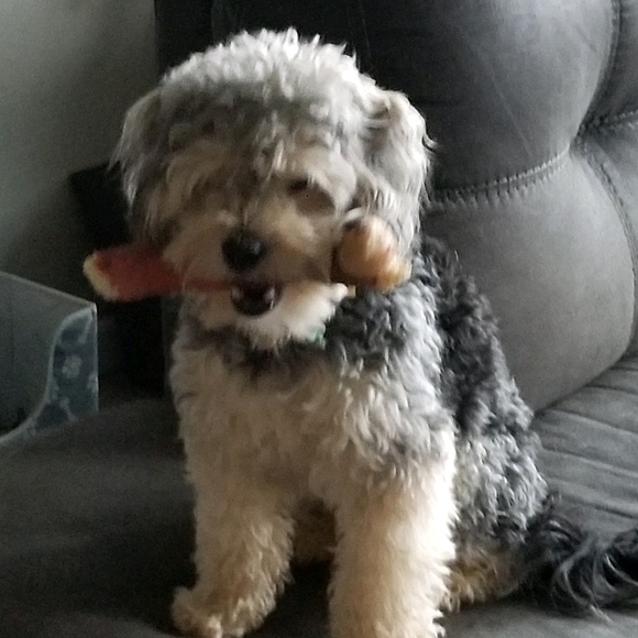 Profile Picture of Marielaveau Head (@mlv1974) on Poshmark