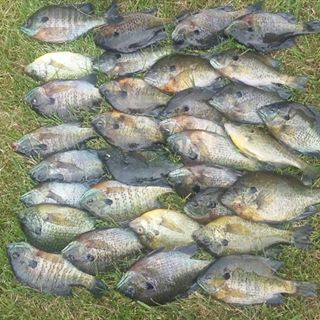 Profile Picture of Ken Peek (@ken.peek.712) on Facebook