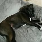 Profile Picture of Damian Nester (@damian.nester.2025) on Facebook