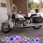 Profile Picture of Bob Maddox (@dmaddox806) on Instagram