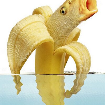 Profile Picture of Ken Tancred (@kentan48) on Twitter
