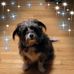 Profile Picture of Mary Kappel (@mary.kappel.39) on Facebook