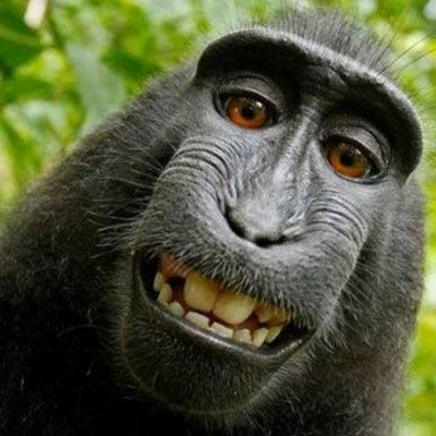 Profile Picture of David Pazmino (@davidpazmino_b) on Twitter