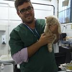 Profile Picture of Dr. Rafael Cortes (@dr.cortesvet) on Instagram